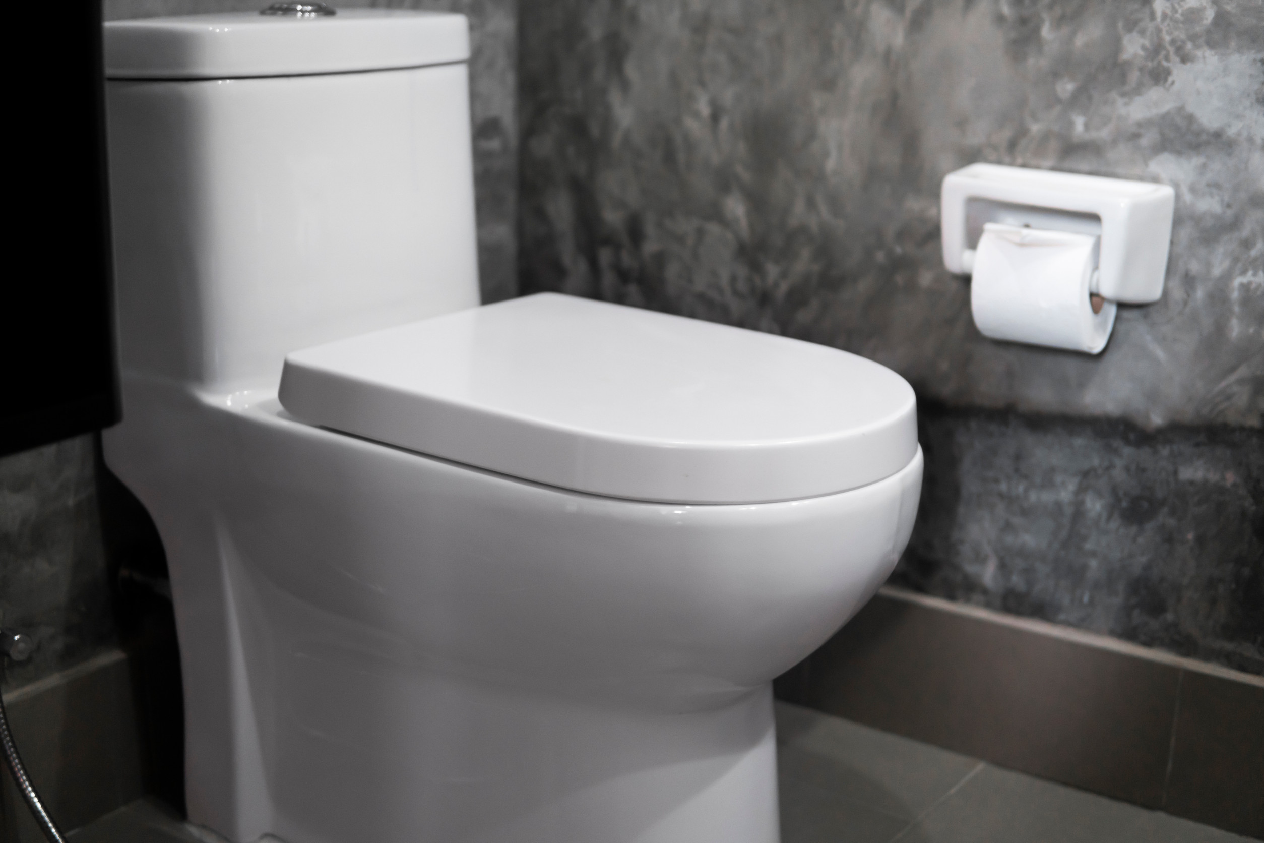 toilet repair services