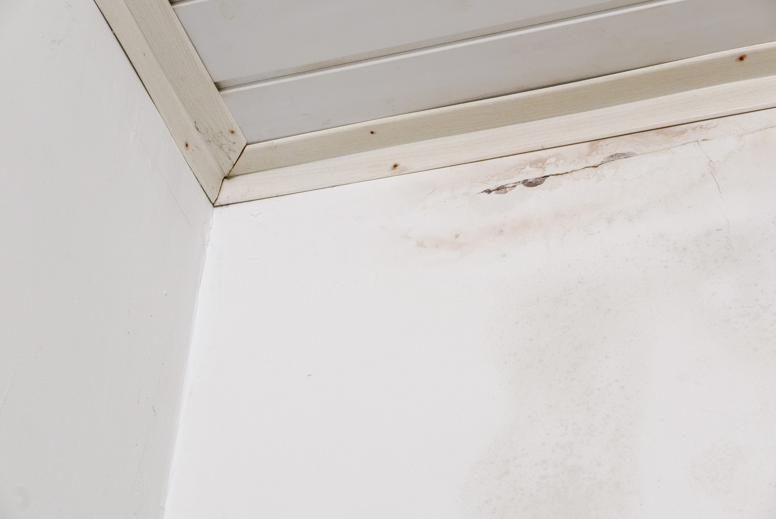 wet stain on wall
